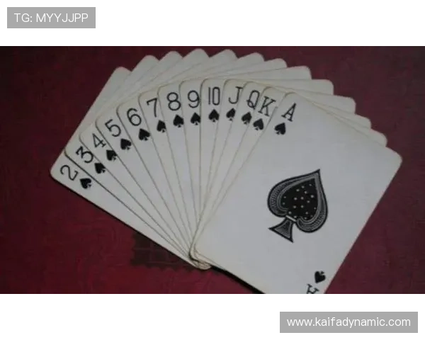 凯时k8国际首页:多样化游戏类型介绍与玩法技巧分享 凯时k8国际首页:多样化游戏类型介绍与玩法技巧分享