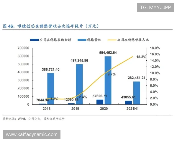 PA网站优化策略与技术指南，助力你的企业网站排名稳步提升